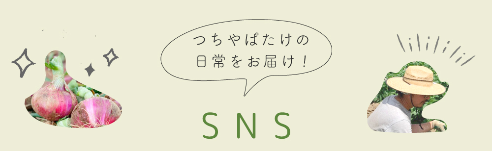 つちやぱたけのSNS